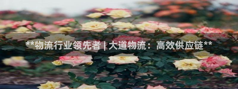 28圈免费充钱：**物流行业领先者 
