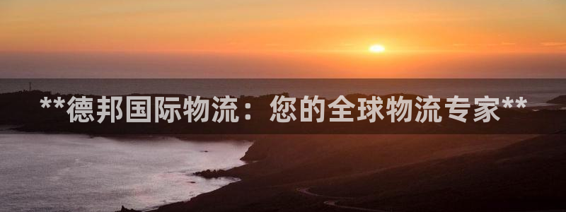 28圈起来的符号：**德邦国际物流：