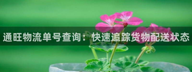 28圈预测加拿大师准：通旺物流单号查