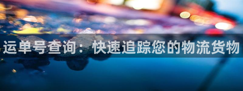 28圈最稳打法：运单号查询：快速追踪
