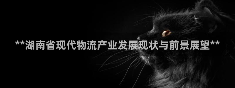 28圈技巧：**湖南省现代物流产业发
