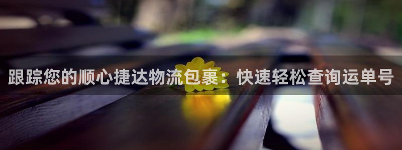 28圈吧：跟踪您的顺心捷达物流包裹：