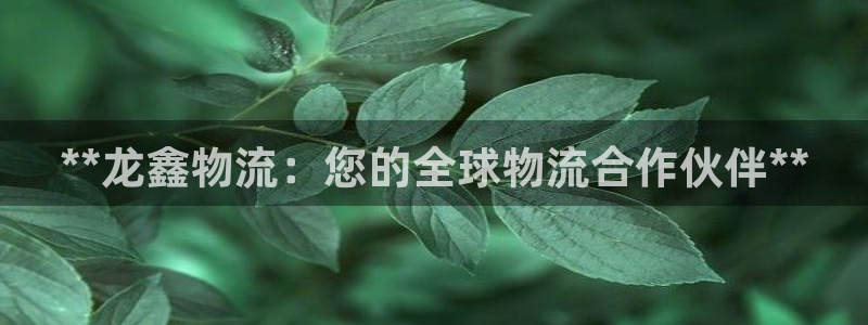28圈如何看012路计划：**龙鑫物