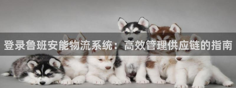 28圈昵称：登录鲁班安能物流系统：高