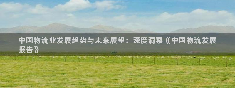 28圈娱乐官网网页下载：中国物流业发