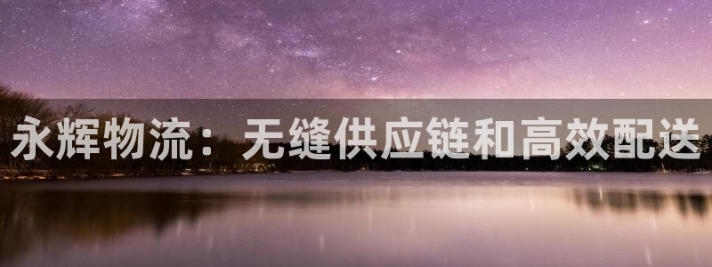 28圈注册网站谁有：永辉物流：无缝供