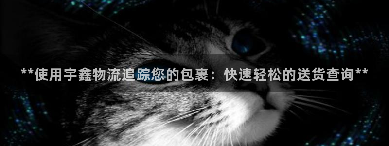 28圈注册送：**使用宇鑫物流追踪您
