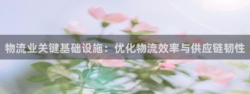 28圈注册用户名是什么：物流业关键基础设施：优化物流效率与供