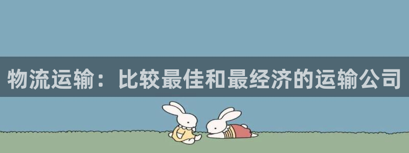 28圈加拿大是什么意思：物流运输：比