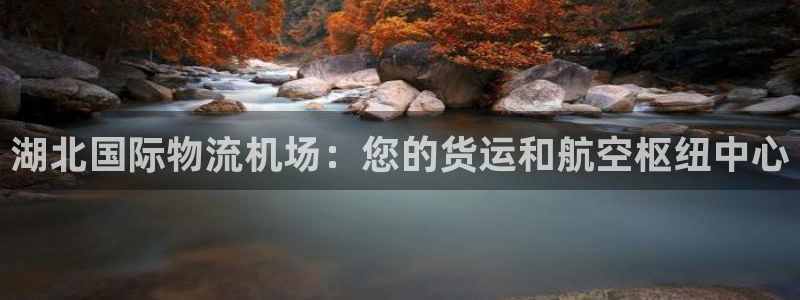 28圈游戏官网入口：湖北国际物流机场