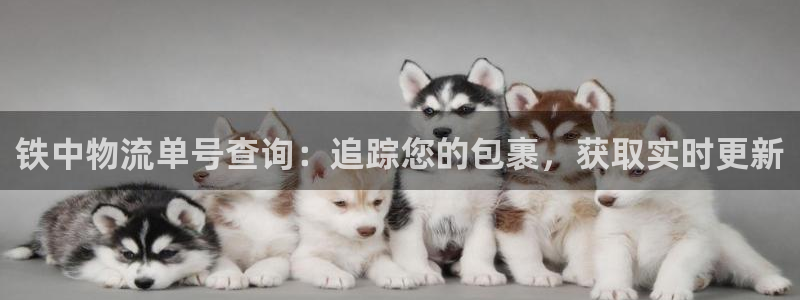 28圈aPP退款：铁中物流单号查询：