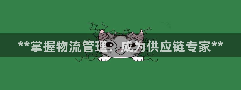 28圈：**掌握物流管理：成为供应链