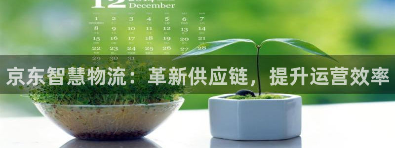 28圈加拿大2.8预测在线预测：京东