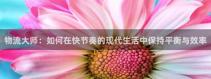 28圈哪个最赚钱