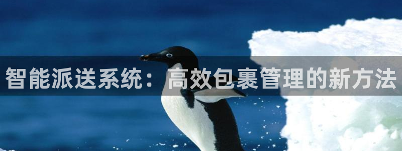 28圈模拟器