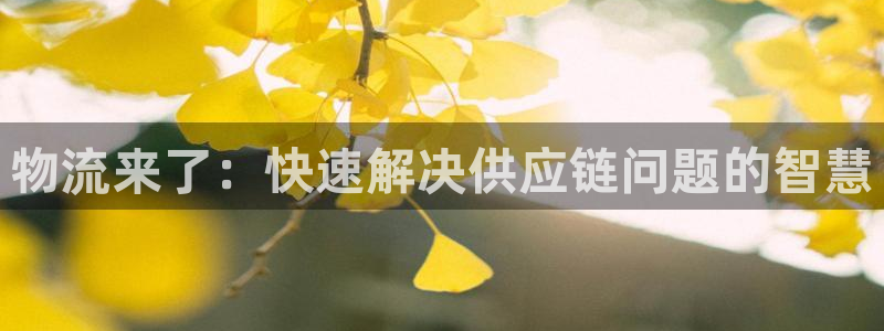 28圈取保