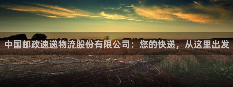28圈p扣款什么意思