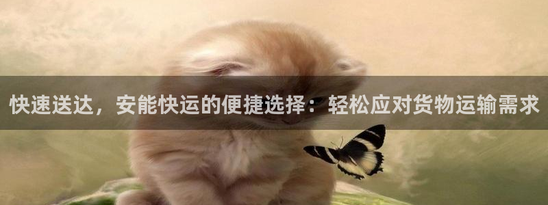 28圈加拿大28