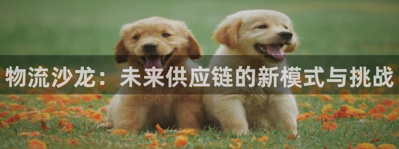 28圈充值不到账什么原因