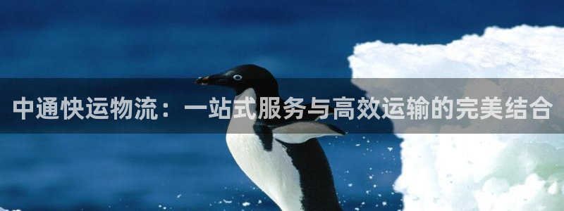 28圈游戏