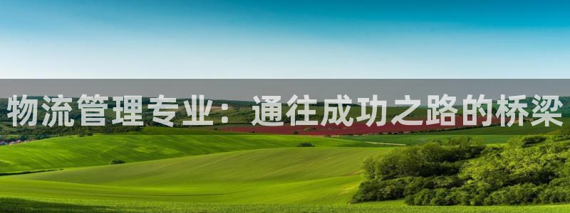 28圈自行车图片大全