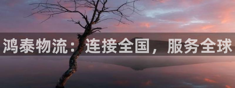 28圈预测加拿大师准