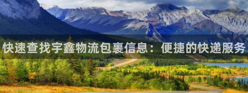 28圈黑款：快速查找宇鑫物流包裹信息