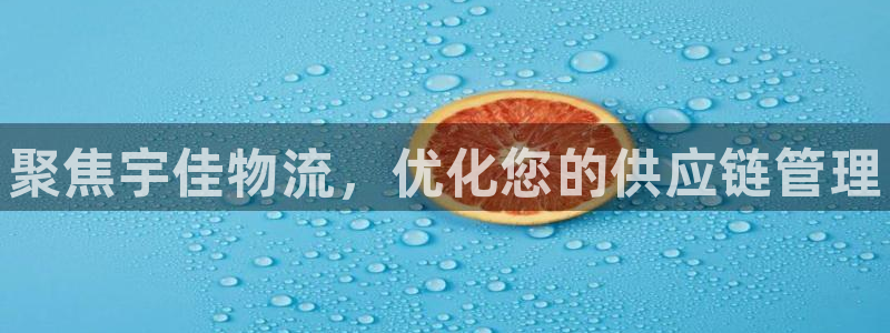 28圈.ccmpc正版：聚焦宇佳物流，优化您的供应链管理