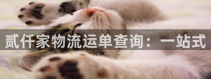 28圈注册号：贰仟家物流运单查询：一