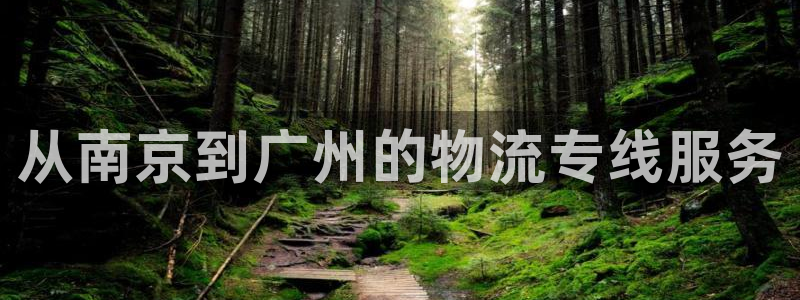 28圈比特28预测在线预测：从南京到