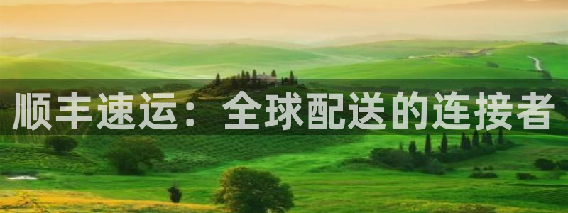 28圈怎么下载不了：顺丰速运：全球配送的连接者