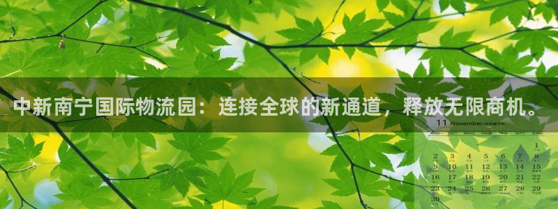 28圈下载二维码怎么弄：中新南宁国际