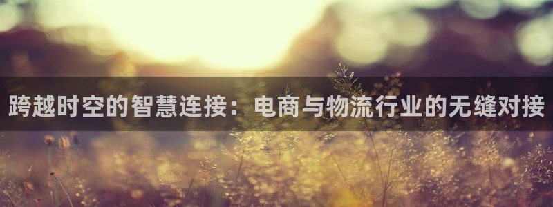 28圈链接是什么：跨越时空的智慧连接