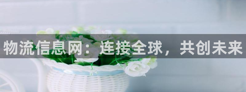 28圈注册登录链接流程：物流信息网：