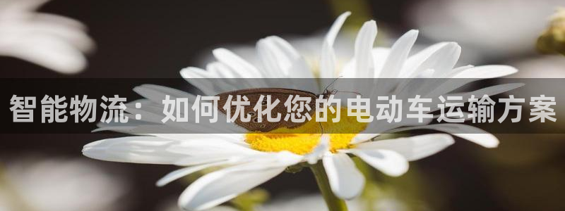 28圈登录用户名登录不上：智能物流：
