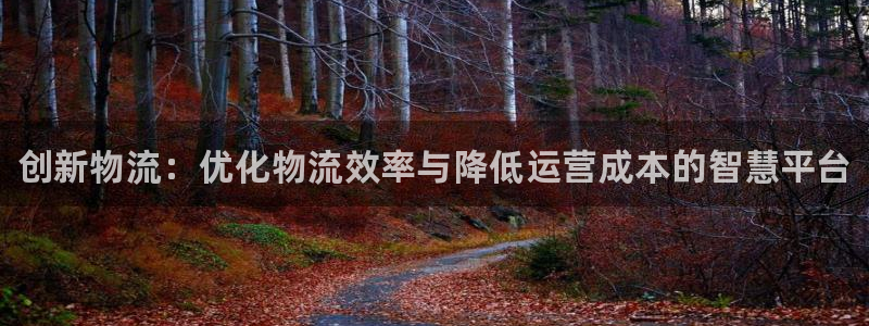 28圈网站平台：创新物流：优化物流效