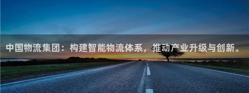 28圈注册限制怎么解除：中国物流集团