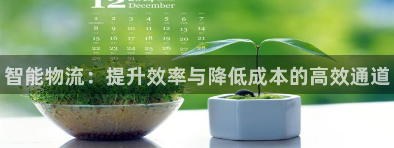 28圈初始资金密码在哪里改：智能物流