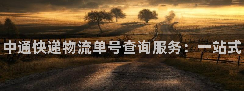28圈注册地址：中通快递物流单号查询