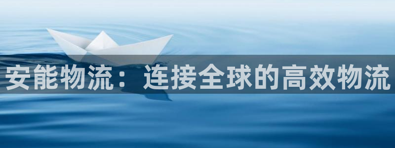 28圈官网平台：安能物流：连接全球的