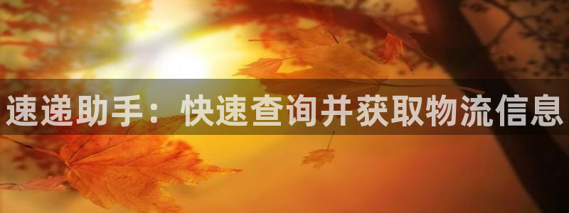 28圈p扣除：速递助手：快速查询并获