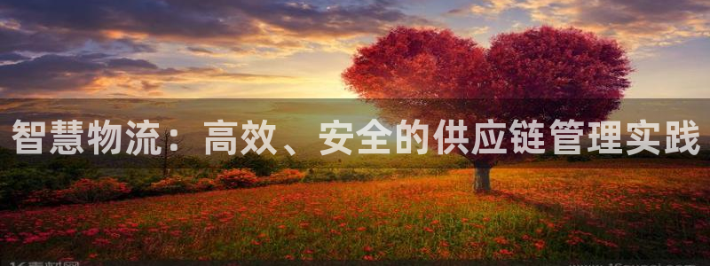 28圈.ccmpc29官网版：智慧物