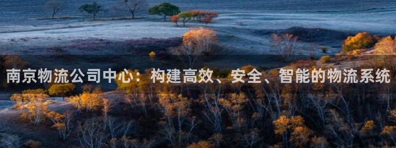 28圈可靠吗:南京物流公司中心:构建