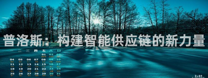 28圈官方版正版：普洛斯：构建智能供