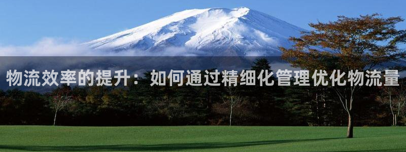 28圈.ccmpcios：物流效率的