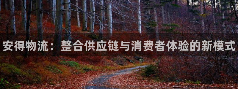 南宫28圈官网版：安得物流：整合供应