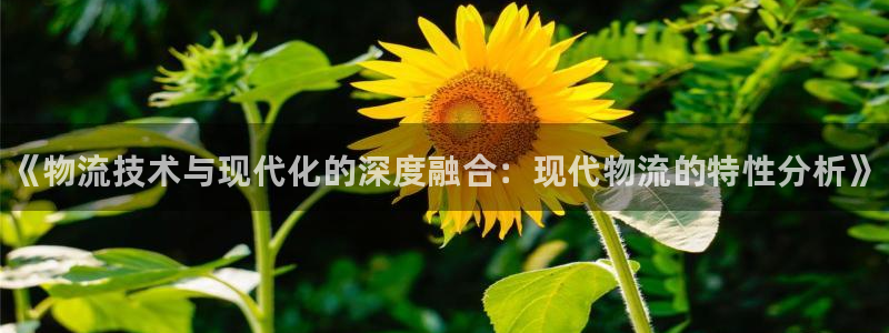 28圈预测网：《物流技术与现代化的深