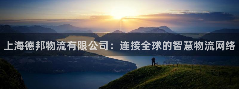 28圈黑平台吗：上海德邦物流有限公司