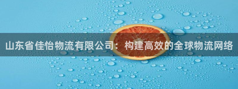 28圈登录用户名登录不上：山东省佳怡