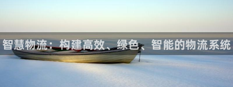 28圈在线预测官网：智慧物流：构建高效、绿色、智能的物流系统